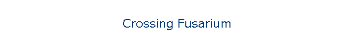 Crossing Fusarium