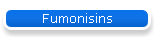 Fumonisins