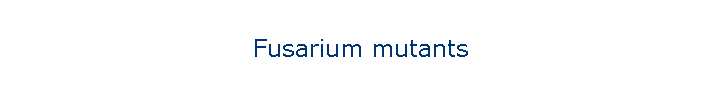 Fusarium mutants