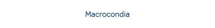 Macrocondia