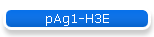 pAg1-H3E
