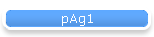 pAg1