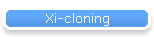 Xi-cloning